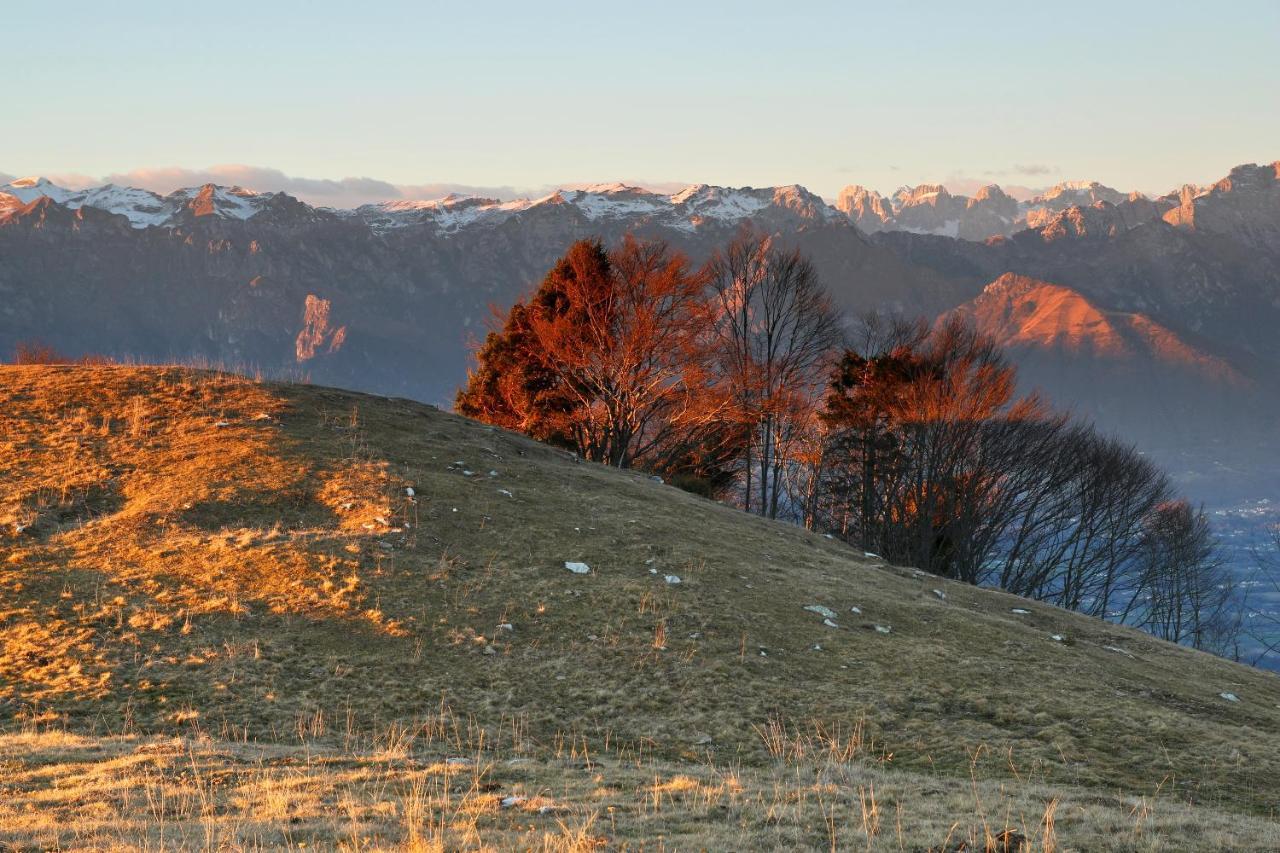 Agriturismo Riva Dei Coz Sequsino Dış mekan fotoğraf