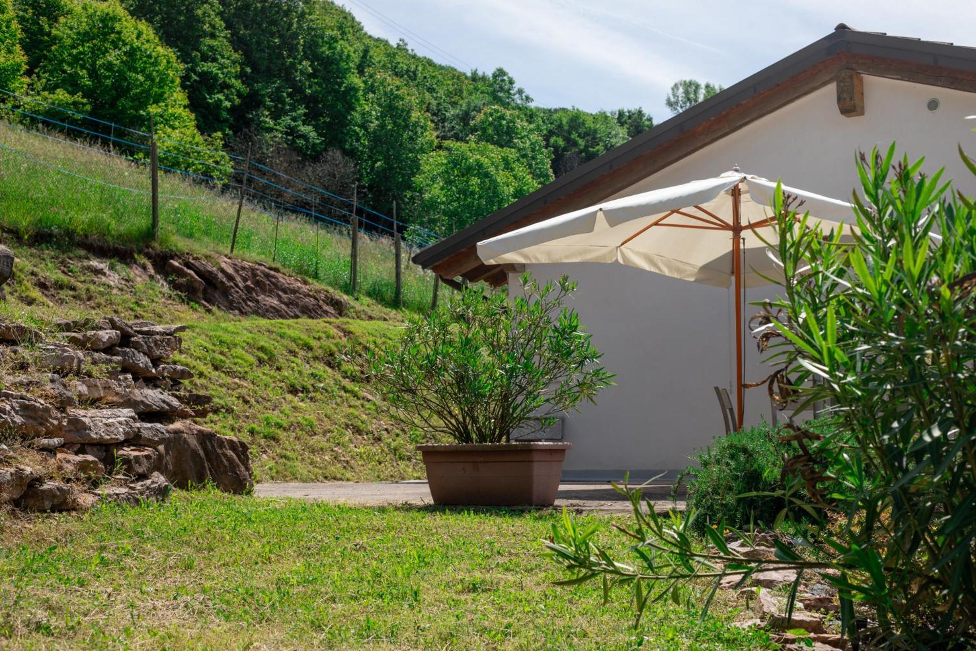 Agriturismo Riva Dei Coz Sequsino Dış mekan fotoğraf